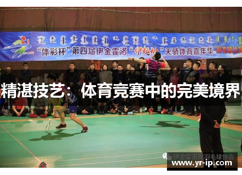 精湛技艺：体育竞赛中的完美境界